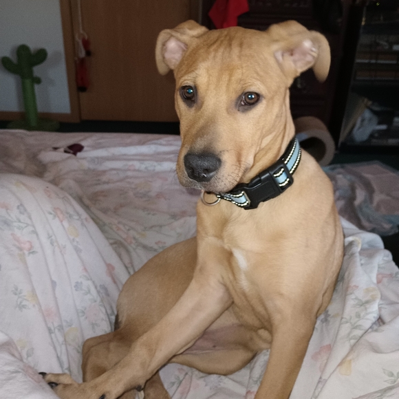 Meet your Posher, Teresa - Picture 8 of 9